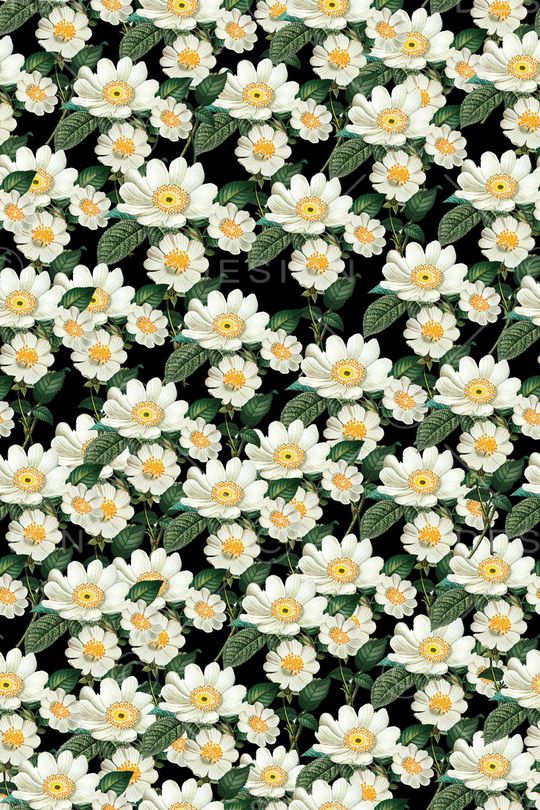 绿植树叶印花华亿平台图片