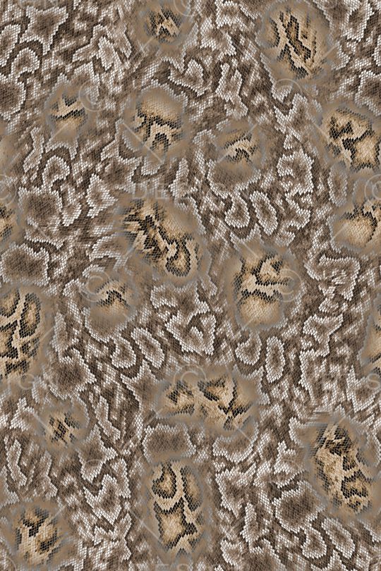 蛇纹印花华亿平台图片