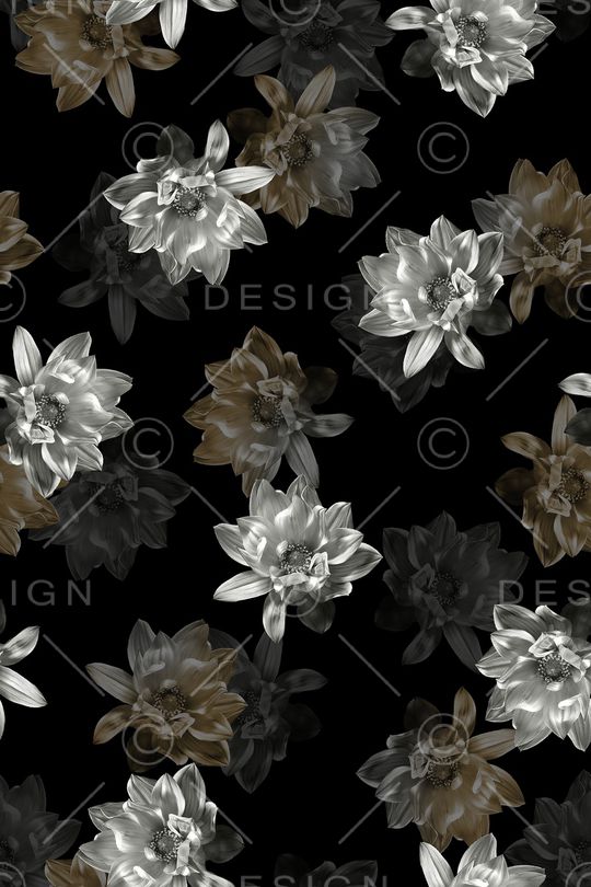 黑白华亿平台印花华亿平台图片