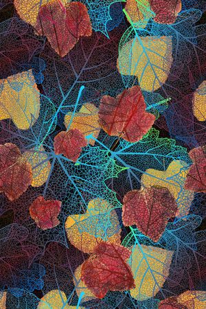 渐变印花华亿平台图片