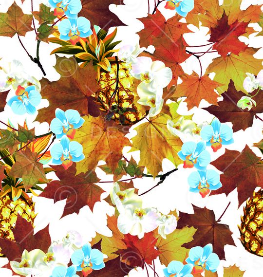 菠萝印花华亿平台图片