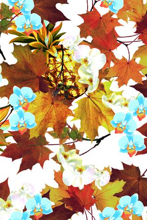 菠萝印花华亿平台图片