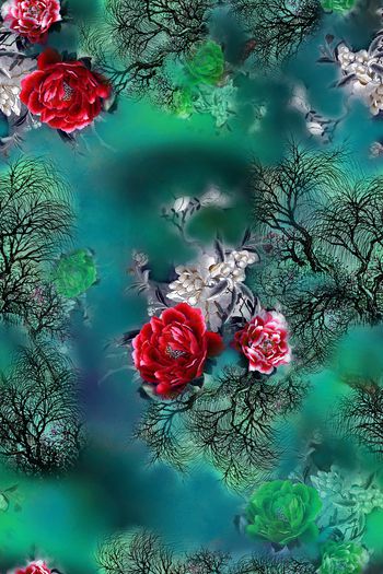 1382539-dear-20326-1