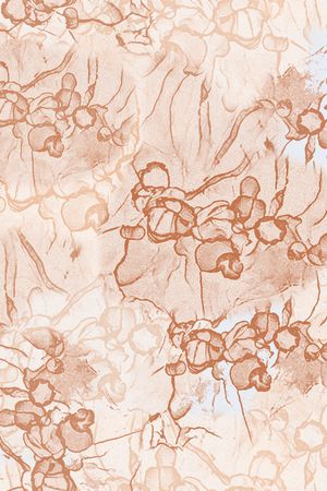 男装印花华亿平台图片