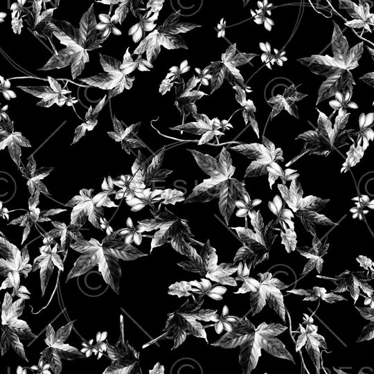 黑白华亿平台印花华亿平台图片