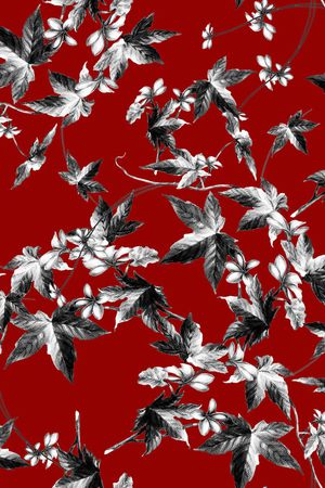 黑白华亿平台印花华亿平台图片