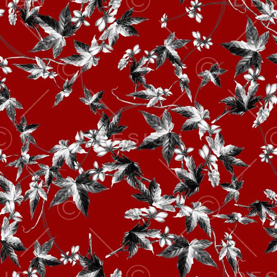 黑白华亿平台印花华亿平台图片