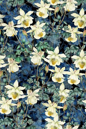 女装印花华亿平台图片