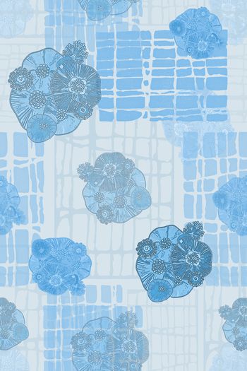 1383684-20201130-hpnz-3-