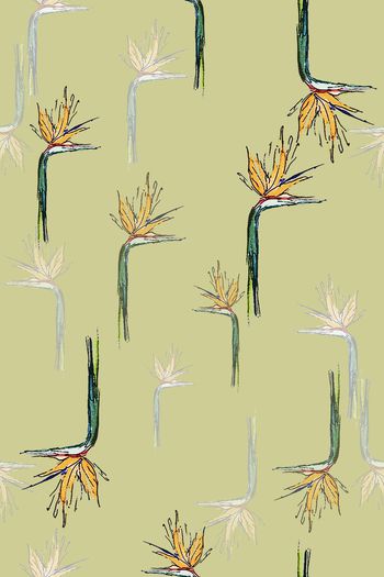 1383686-20201130-hpnz-4-