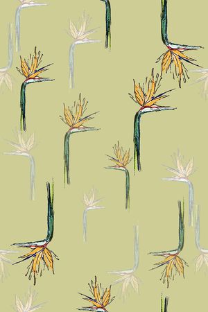 文艺印花华亿平台图片