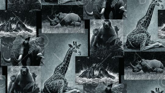 简约印花华亿平台图片