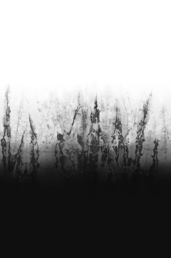 1383878-2020-11-28-B