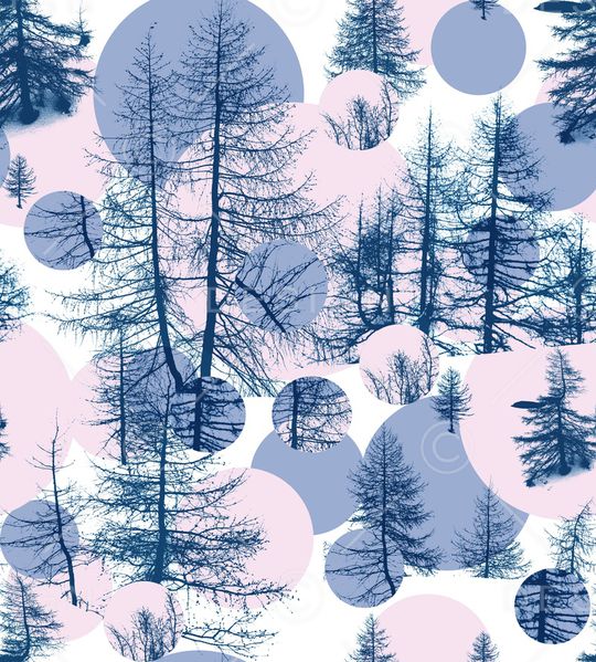 树林印花华亿平台图片