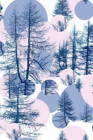 树林印花华亿平台图片