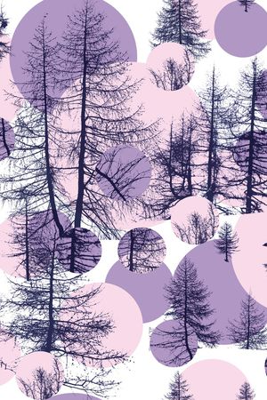 树林印花华亿平台图片