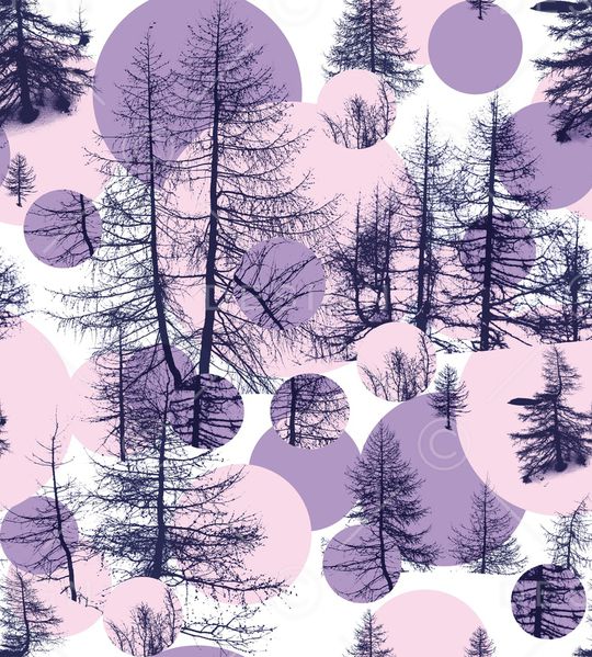 树林印花华亿平台图片