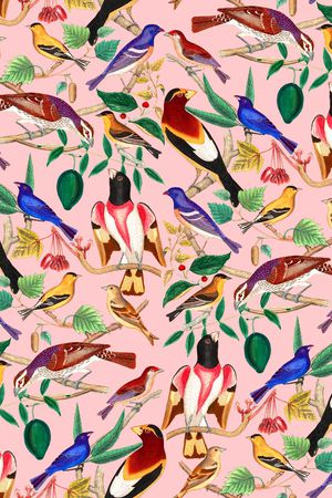 鹦鹉印花华亿平台图片