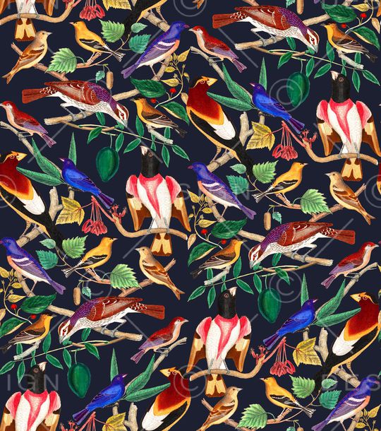 鹦鹉印花华亿平台图片