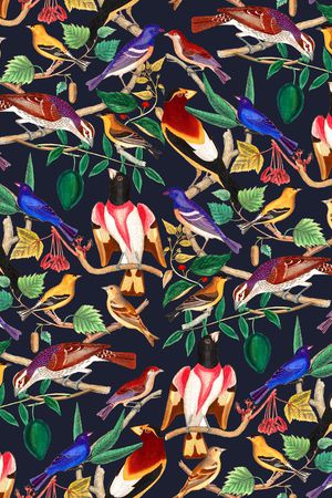 鹦鹉印花华亿平台图片