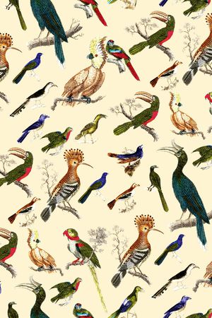 鹦鹉印花华亿平台图片