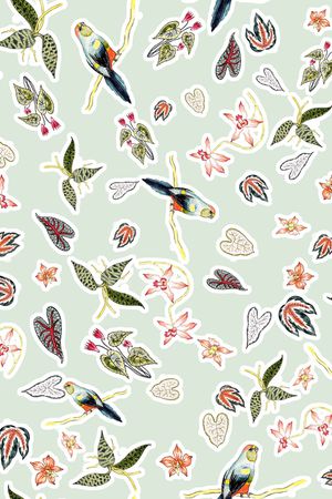 鹦鹉印花华亿平台图片