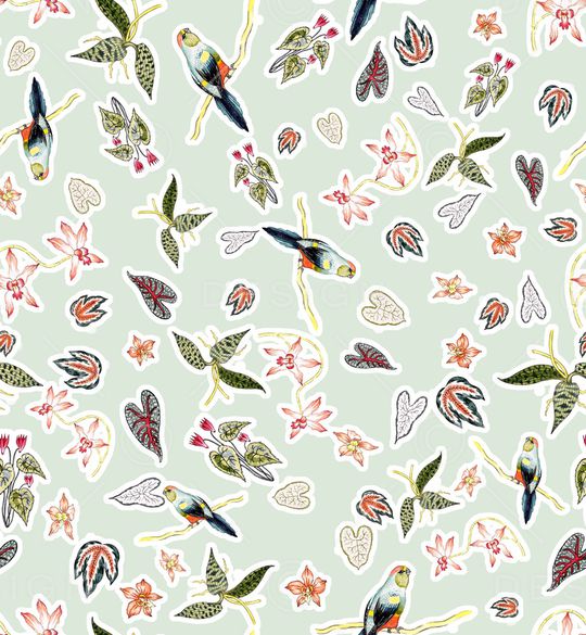 鹦鹉印花华亿平台图片