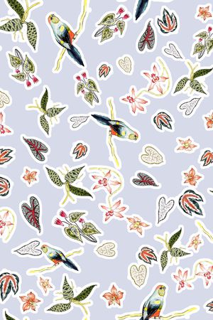 鹦鹉印花华亿平台图片