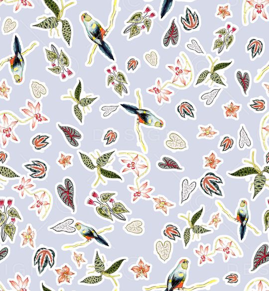 鹦鹉印花华亿平台图片