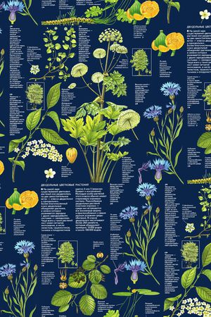 鹦鹉印花华亿平台图片