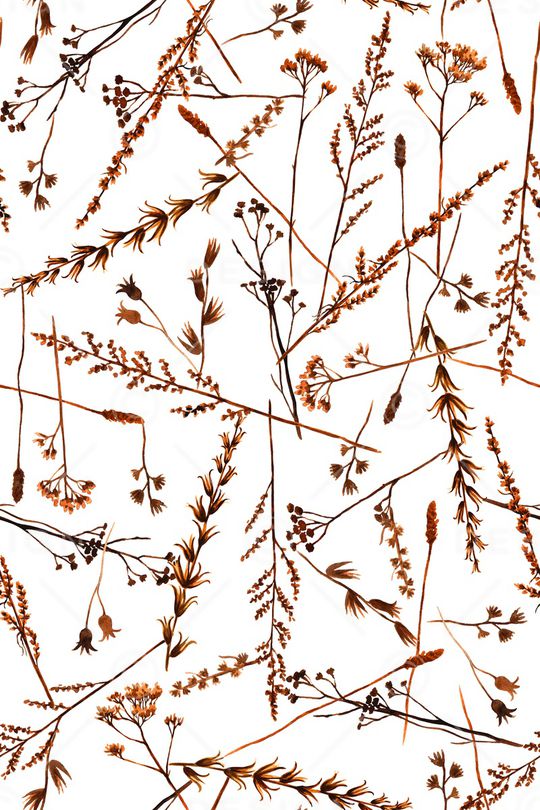 大牌风印花华亿平台图片