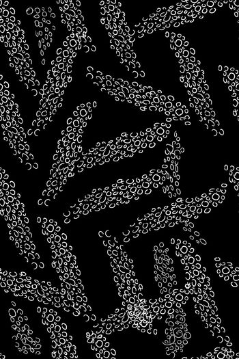 线条印花华亿平台图片