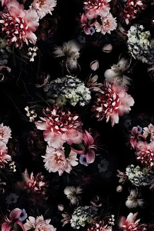 黑底花卉印花华亿平台图片