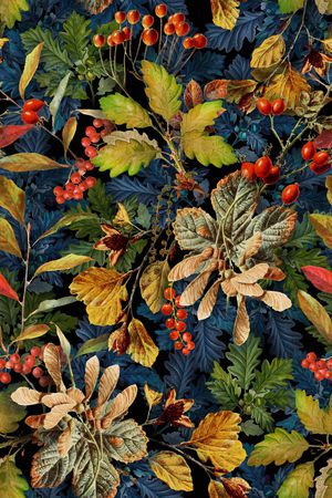 女装印花华亿平台图片