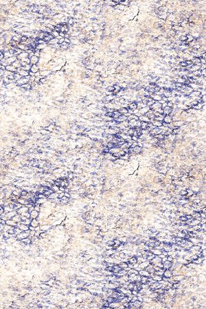 肌理印花华亿平台图片