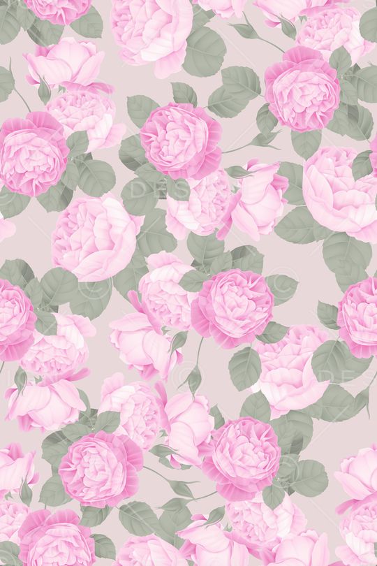 菊花印花华亿平台图片