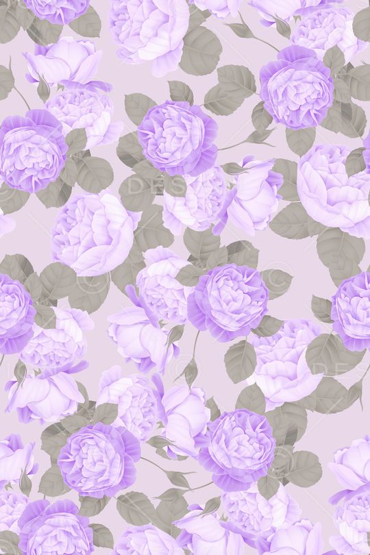 菊花印花华亿平台图片