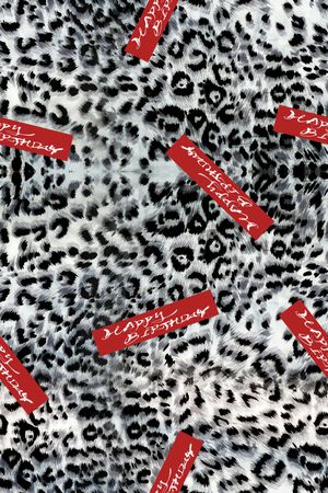 字母印花华亿平台图片