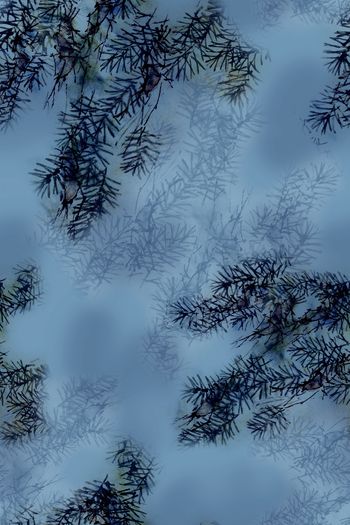 1387573-dear-20333-1