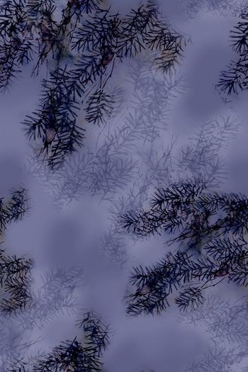 1387574-dear-20333-2