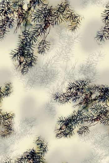 1387575-dear-20333-3