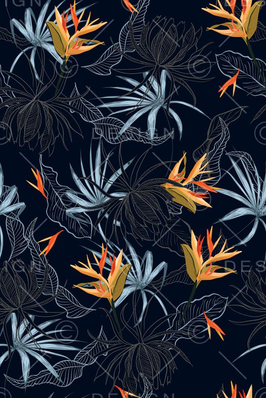 黑底花卉印花华亿平台图片