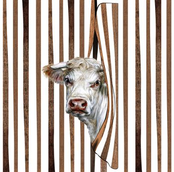 时尚印花华亿平台图片