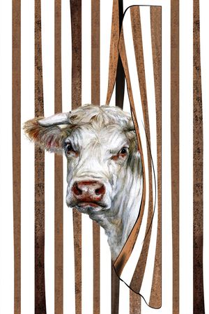 时尚印花华亿平台图片