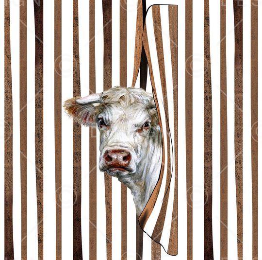 时尚印花华亿平台图片