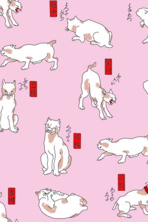 女装印花华亿平台图片