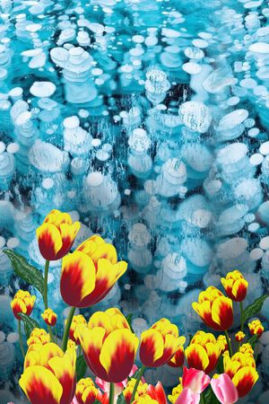 绿植树叶印花华亿平台图片