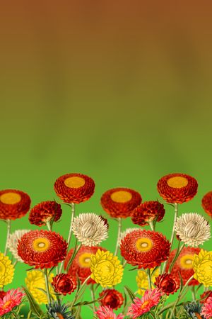 绿植树叶印花华亿平台图片