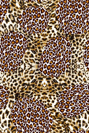 豹纹印花华亿平台图片