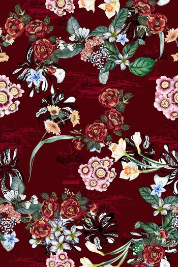 1388681-mys-w-202854-1